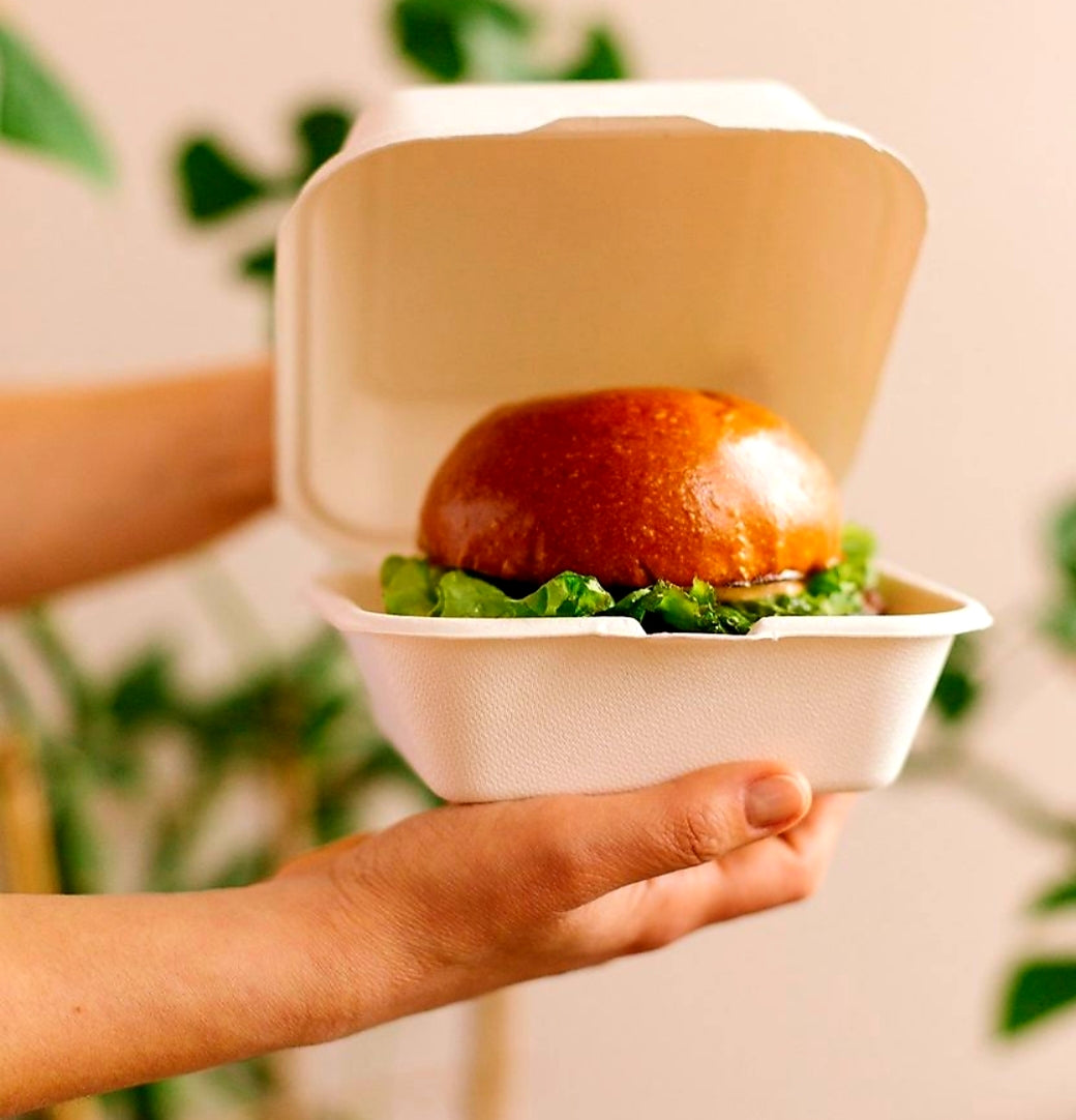 Envase Caña de Azúcar Hamburguesa 15x15x7,7cm - 500ml