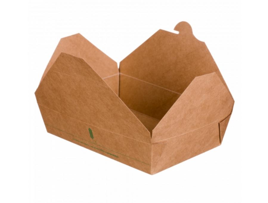 Envase Take Away 1900ml (22x16x6,5cm)