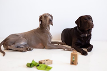 Load image into Gallery viewer, Compostable Dog Bags, roll with 15 units 
