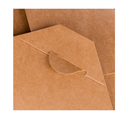 Envase Take Away 1400ml (16x21,5x4,8cm)